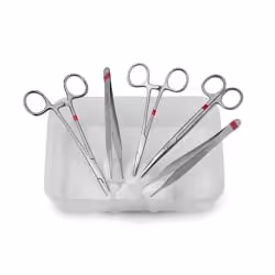 Fuhrmann Basis-Set fein