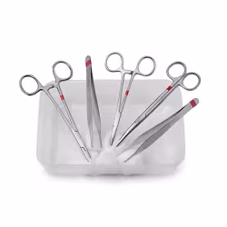 Fuhrmann Basis-Set fein