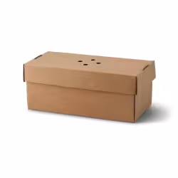 Greenbox Burgerboxen doppelt