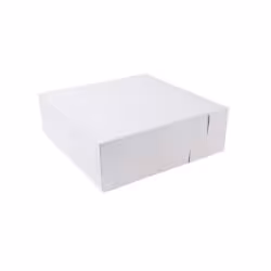 Greenbox Torten-Kartons L