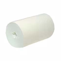 Handtuchpapier-Rolle
