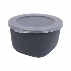 Koziol Box mit transparentem Deckel