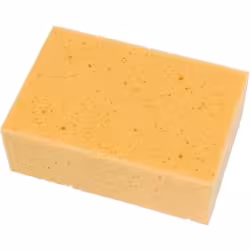 LEWI Fixi Schwamm 15541