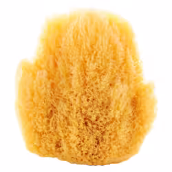 Naturschwamm 1 Stück
