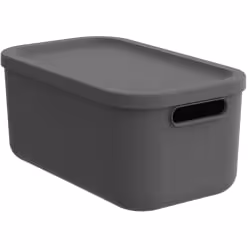 Rotho ALBULA LIGHT Box 12 l 1055608853