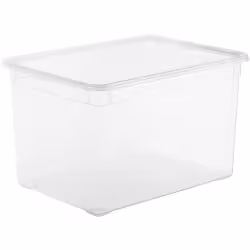 Rotho CLEAR Clearbox mit QR-Code