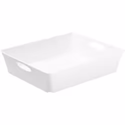 Rotho LIVING Box