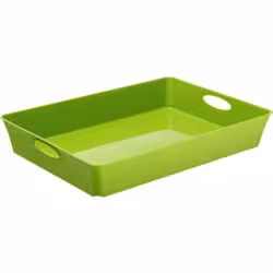 Rotho LIVING Box