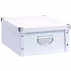 Zeller Aufbewahrungsbox Pappe