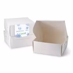 Greenbox Kuchenbox aus weißer Pappe DRE02553
