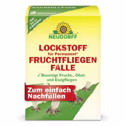Neudorff Permanent Lockstoff für Fruchtfliege