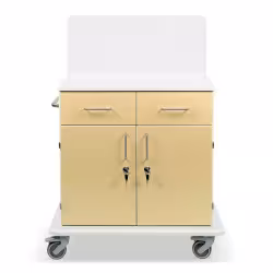 ETERNASOLID MULTICART Multifunktionswagen T21 mit Rückwand 92635-BE
