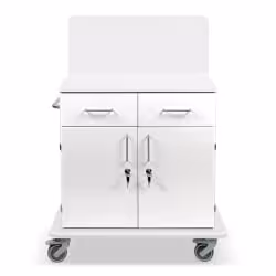 ETERNASOLID MULTICART Multifunktionswagen T21 mit Rückwand 92635-WS