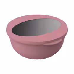 Food Bowl To Go