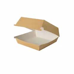 Greenbox Burger Box