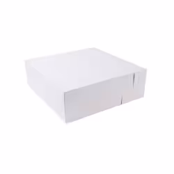Greenbox Kuchenbox