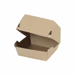 Greenbox Mini Burger Box