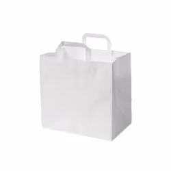 Greenbox Papiertüte mit Henkel L