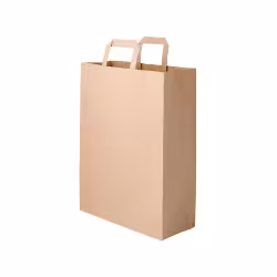 Greenbox Papiertüte mit Henkel XL