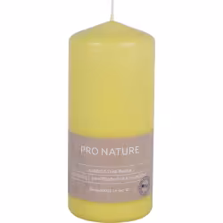 Müller Kerzen "PRO NATURE" Stearin Stumpenkerze 150/68mm 89915069HH