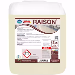 RAISON hochwirksamer Grundreiniger 01036