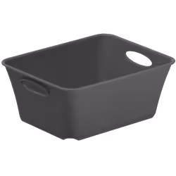 Rotho LIVING Box