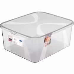 Rotho LONA Aufbewahrungsbox mit Deckel
