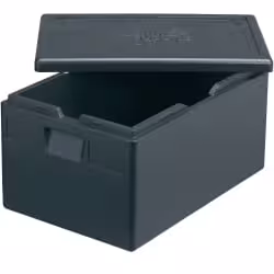 Thermo Future Box Thermobox ECO