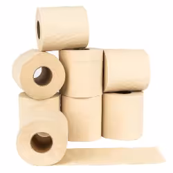 biomondi Bambus Toilettenpapier