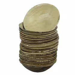 biomondi Schüssel