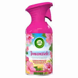 AIR WICK Duftspray