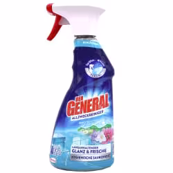 DER GENERAL Bergfrühling Allzweckreiniger Spray 00255483
