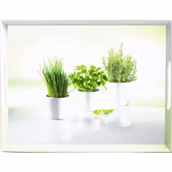 EMSA Classic Tablett "Herbs" 504859