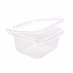 NATURESTAR Bio Salatschalen mit Deckel 423901