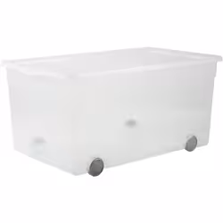 Rotho CLEAR Clearbox mit QR-Code