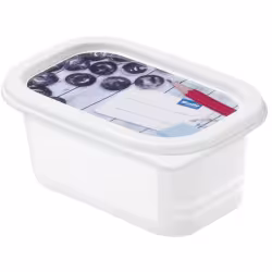 Rotho DOMINO Gefrierdosen Set 1755010233