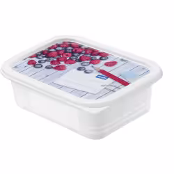 Rotho DOMINO Gefrierdosen Set 1755110234