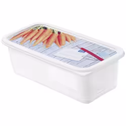 Rotho DOMINO Gefrierdosen Set 1755310236