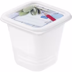 Rotho DOMINO Gefrierdosen Set 6116610120