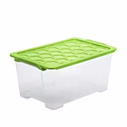 Rotho EVO SAFE Box 1008105519