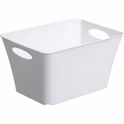 Rotho LIVING Box