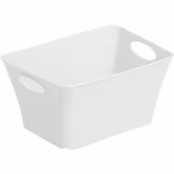 Rotho LIVING Box