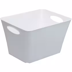 Rotho LIVING Box