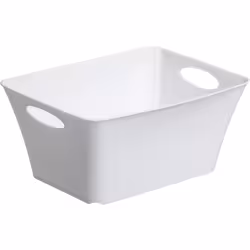 Rotho LIVING Box