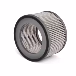 SOEHNLE Ersatzfilter AirFresh Clean 300  68106