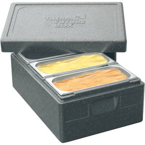 Thermo Future Box  Eistransportbehälter